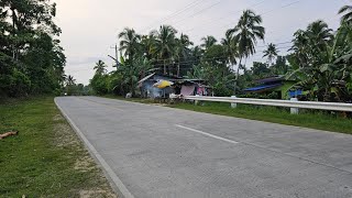 79 hectares lot for sale highway at Tubigon Bohol Philippines 300sqm [upl. by Madge532]