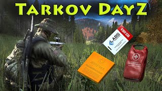 This Tarkov Mod Is Nuts  DayZ [upl. by Ashil]