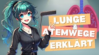 Anatomie und Physiologie Lunge und Atemwege einfach am anatomsichen Modell erklärt [upl. by Chally845]