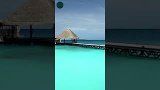 Maldives The Paradise on Earth You Must Visit shorts [upl. by Kelson]