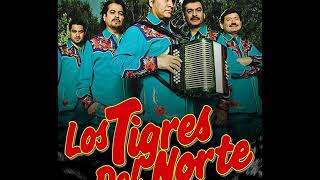 El Golpe Traidor  Los Tigres Del Norte Full Audio Norteño [upl. by Zolner211]