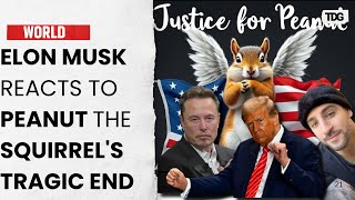 Elon Musk Furious After ‘Peanut the Squirrel’ Euthanized for Rabies Testing [upl. by Anah]