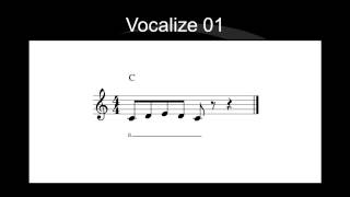 VOCALIZE 01  EXERCÍCIO DE CANTO E TÉCNICA VOCAL [upl. by Leidba596]