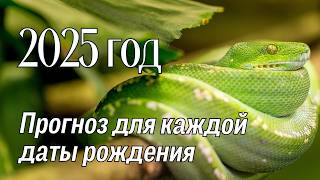 2025 год прогноз по каждой дате рождения ✔ Нумерология [upl. by Bab]