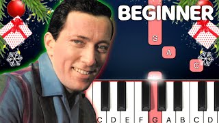 Its The Most Wonderful Time Of The Year  Andy Williams  BEGINNER PIANO TUTORIAL [upl. by Lamaaj389]