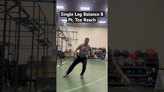 Single Leg Balance 8 Pt Toe Reach [upl. by Alvie]