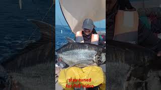 deepsea fishing series 3 trending shots youtubeshorts fishing [upl. by Eelyrag839]