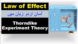 Thorndike theory of learning  Law of Effect  Law of Learning  Trail and Error  Theory Puzzle Box [upl. by Inoliel]