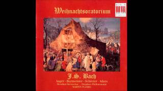 Weihnachtsoratorium  JSBach 28 Herr dein Mitleid Duett sopran und Bass  3 Teil [upl. by Kerrison88]