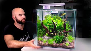 ALL IN ONE CUBE aquarium kit jungle style planted tank w ROCKET Killifish [upl. by Akcirederf]