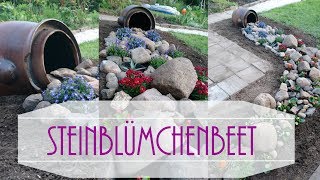 DIY Steinblümchenbeet 3 Tussis im eigenen Garten Folge 4 [upl. by Okire]