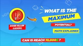 🔥What is The Maximum Potential Of Leash   Can It Ever Reach 10000✅ [upl. by Kcirddor]