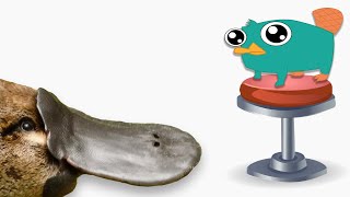 trying to use REAL Platypus Sounds to recreate PERRY THE PLATYPUS Theme Song [upl. by Igenia]