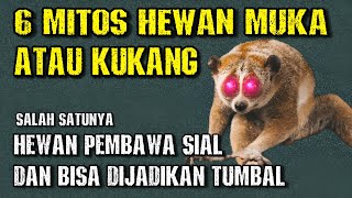 6 Mitos hewan muka atau kukangsalah satunya hewan pembawa sial [upl. by Laertnom]