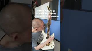 Make your guitar sound like a horse Eddie Van Halen trick 🎸🐴 [upl. by Paterson]