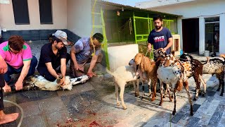 Bakron ki Qurbani kr li hai Allah kabool farmaye Hsn Entertainment Bakra Eid Special Vlog [upl. by Kenley]