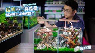 延伸不一样的造景解决两只斗鱼问题 EP33 [upl. by Marlow]