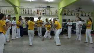 PARANAUÊ PARANÁ CAPOEIRA [upl. by Aronos428]