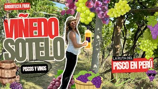 Viñedo SOTELO tour de PISCO Y VINO Artesanal en ICA PERÚ [upl. by Nimar725]