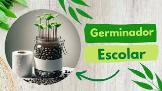 🌱 Cómo hacer un GERMINADOR para BIOLOGÍA 🌱 [upl. by Akiam585]