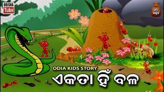 ଏକତା ହିଁ ବଳ  Odia Children Story  Educational Video  Odisha Tube [upl. by Arreik]