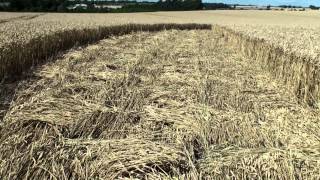 Crop Circle at Hackpen Hill 2682012 [upl. by Ninnette615]