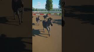 Horse Vs Zebra Race planetzoo shorts [upl. by Shanta]