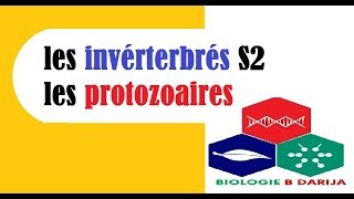 biologie animale S2 introduction  البيولوجيا بالدارجة [upl. by Nolrev]