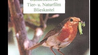 25 Jahre Tier und Naturfilm Blieskastel 2003 [upl. by Aivatnuahs]