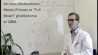 Brain Tumors 101 Gliomas Part 3 Glioblastoma [upl. by Nosaj127]