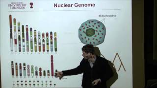 Ancient Human GenomesPresentDay Europeans  Johannes Krause [upl. by Nitsed]