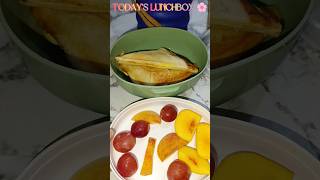 Todays Lunchbox 🌸 shorts food cooking lunchbox trending kids cookwithaasmarizwan [upl. by Ninette]