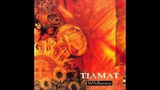 Tiamat  Whatever That Hurts [upl. by Ecienaj]