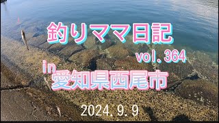 釣りママ日記vol364愛知県西尾市 [upl. by Ysirhc770]