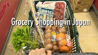 Last Shopping Compilation of 2023 🎵supermarket goodies shop amp 100yen store in Japan [upl. by Zurc]