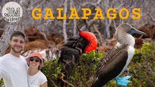 WILDLIFE PUR auf den Galapagos Inseln [upl. by Martha]