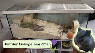 Gehege einrichten für einen Zwerghamster 🐹 [upl. by Anila609]