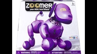 Zoomer Interactive Dog Purple Exclusive  KidToyTesters [upl. by Wardle]