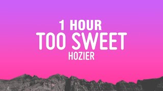 1 HOUR Hozier  Too Sweet Lyrics [upl. by Mel]