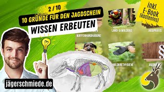 Grund 2 Wissen erbeuten 10 Gründe für den Jagdschein [upl. by Neumeyer]