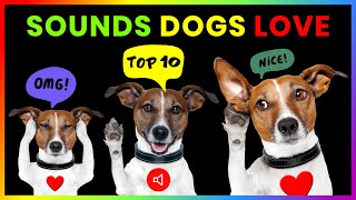 Top 10 Sounds Dogs Love GUARANTEED [upl. by Eisiam]