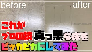 【清掃】床面洗浄剥離ワックス作業で床をピッカピカにしてみた！【さんびる】 [upl. by Aikehs]