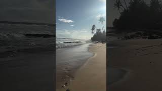 Exploring Sri Lankas Most Beautiful Beaches [upl. by Nnaeirb930]