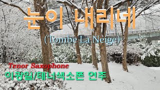 눈이 내리네Tombe La Neige테너색소폰 연주이광일 [upl. by Rehpotsrik68]