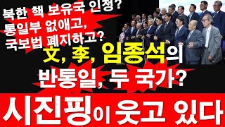 文 李 임종석의 반통일 2국가 체제 시진핑이 웃고 있다 북한 핵 보유국 인정 통일부 없애고 국보법 폐지하고 레지스탕스TV 정광용TV [upl. by Martino]