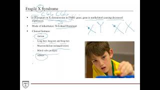 Trinucleotide Repeat Syndromes Huntingtons Fragile X Friedreich Ataxia Genetics 4 of 8 [upl. by Mcdowell]