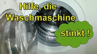 HILFE – Die Waschmaschine stinkt – Was tun wenn die Wäsche riecht   Hausmittel Tutorial Lifehack [upl. by Alletse]