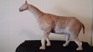 Sculpting a Prehistoric Mammal the Paraceratherium with Clay [upl. by Ecirtaeb]