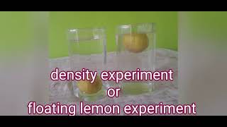 floating lemon experiment experiment of density using lemonscience experiment density experiment [upl. by Matti]