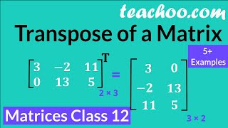 Transpose of a Matrix with TRICKY Questions  5  Matrices Class 12 [upl. by Kernan495]